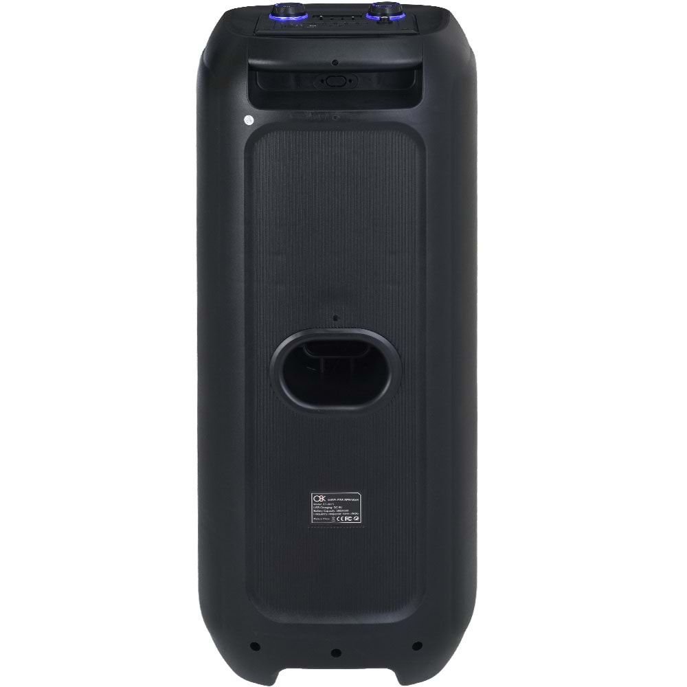 O8K Bluetooth ve USB Girişli 2X8 inch Şarjlı Işıklı 2 El Mikrofonlu Müzik Sistemi BT-8825