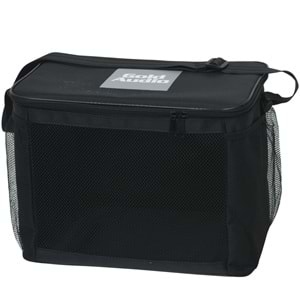 GOLD AUDİO 100W Bluetooth ve USB Girişli 2 El 1 Kafa Mikrofonlu Kayıtlı Şarjlı Portatif Amfi GTX-6 EEK