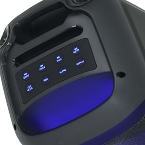 QL Bluetooth ve USB Girişli 8 inch Şarjlı Işıklı Müzik Sistemi QL-8811