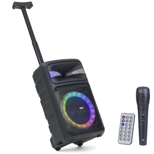POLYGOLD Bluetooth ve USB Girişli 300W Portatif Hoparlörlü Ses Sistemi NDR-Q08