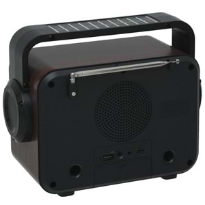 GLRTECH Usb Bluetooth lu Solar Şarjlı Alevli FM Radyo FP-337 S