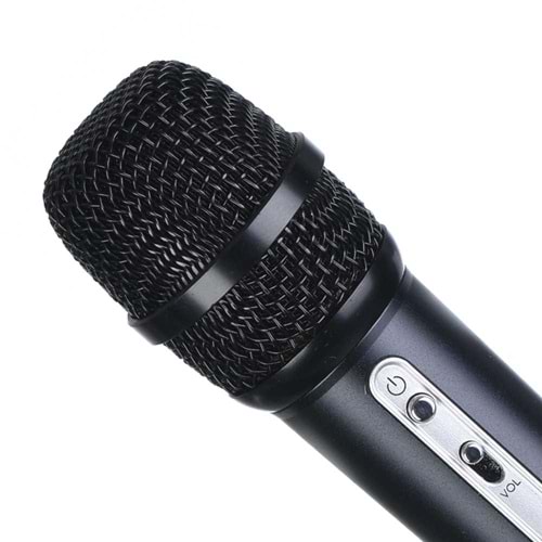 TWOGO Fm Mikrofon GO-C200