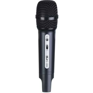 TWOGO Fm Mikrofon GO-C200
