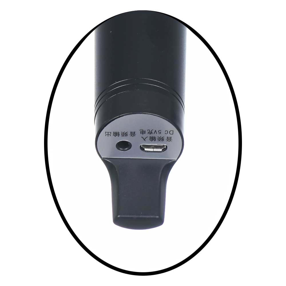 TWOGO Fm Mikrofon GO-C200