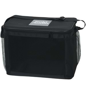 GOLD AUDİO 100W Bluetooth ve USB Girişli 2 El 1 Kafa Mikrofonlu Kayıtlı Şarjlı Portatif Amfi GTX-6 EEK