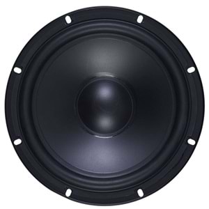 WÖLLER 6'' 16 Cm 200W Çıplak Hoparlör S-6