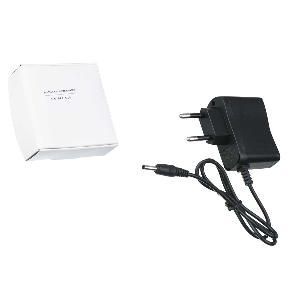 Muhtelif 4,2V 500 Ma Adaptör TS-4,2