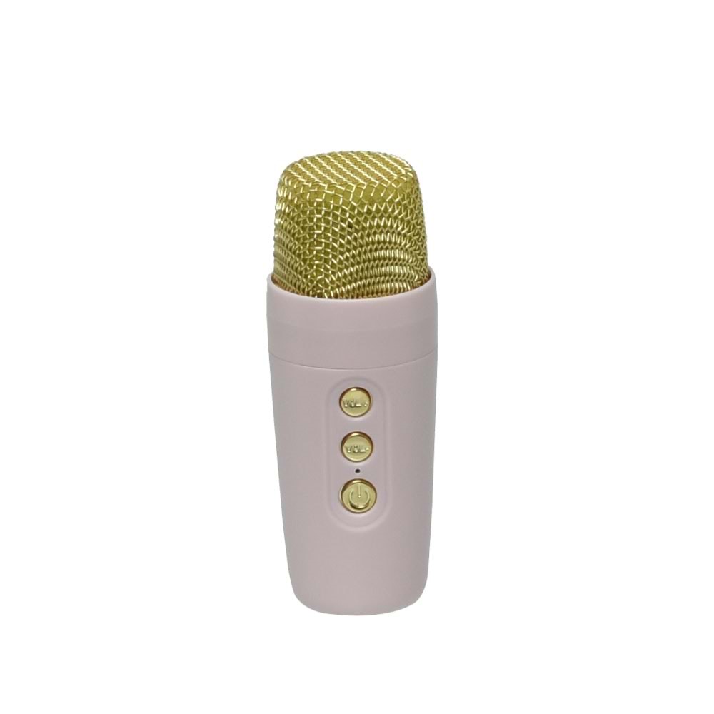 POLYGOLD 4'' Bluetooth ve USB Girişli Radyo Wireles Mik. Ses Sistemi ZQS-1482